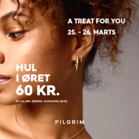 20 ars fodselsdag 2024/PILGRIM MARTS HULLER I RENE